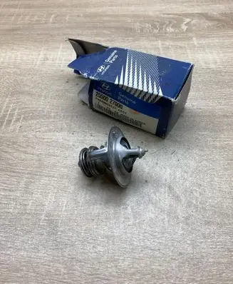 Hyundai Accent Thermostat 2550027000