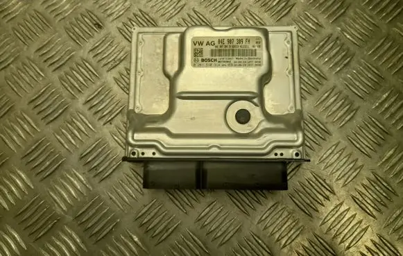 Skoda Octavia Mk4 Engine control unit/module 04E907309FH