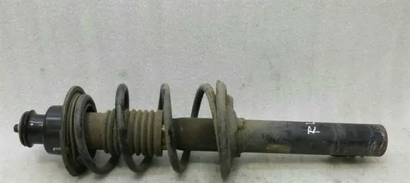 Porsche Boxster 987 Rear shock absorber with coil spring 98733305114