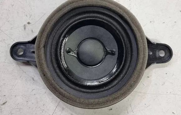 Front door high frequency speaker