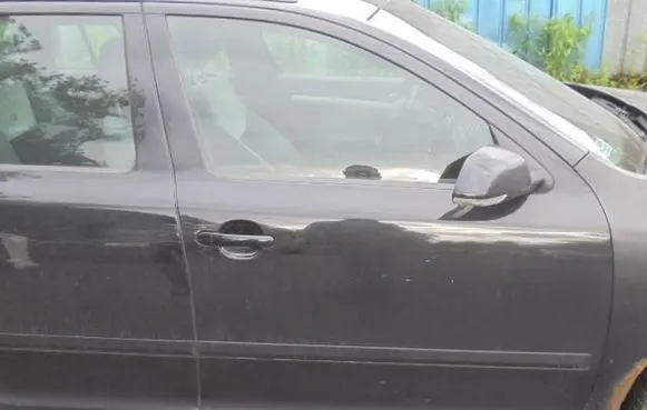 Skoda Octavia Mk2 (1Z) Front door