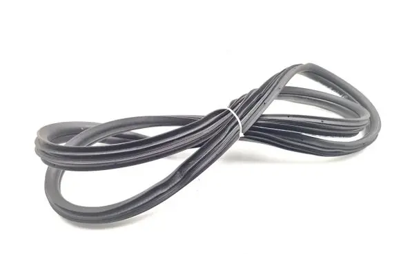 Fiat Punto (199) Rear door rubber seal (on body) 