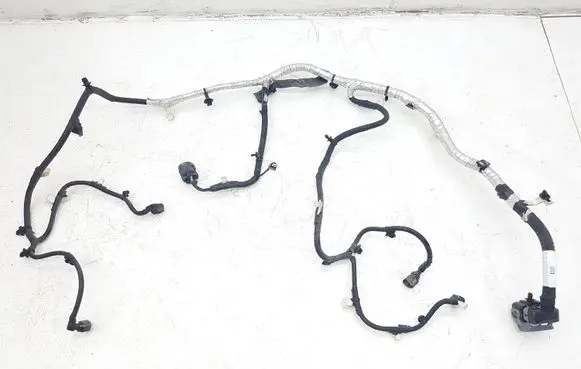 Ford Escape IV Other wiring loom R59CL