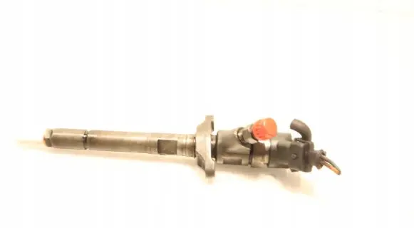 Citroen C4 I Fuel injector 0445110259
