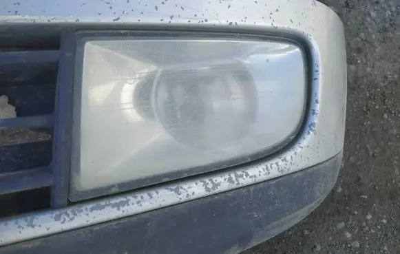 Front fog light