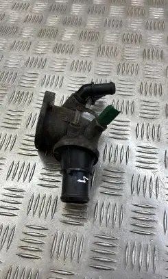 Thermostat/thermostat housing