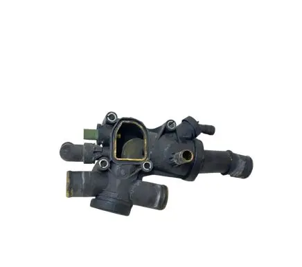 Peugeot 407 Thermostat A666GF30