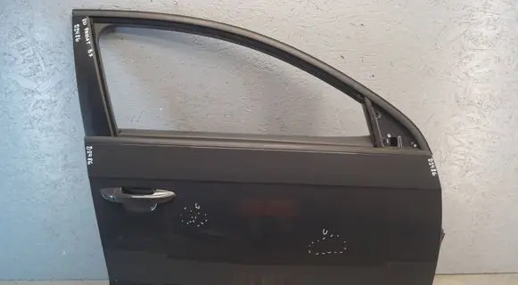 Volkswagen PASSAT B7 Front door