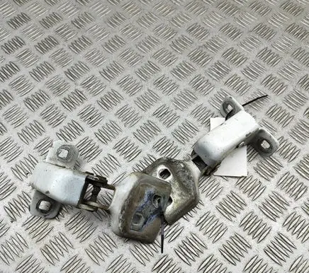 Renault Master III Front door hinges set 804000006R