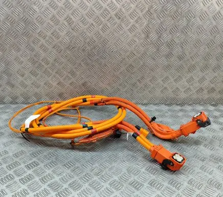 Tesla Model 3 Other wiring loom 110900300F
