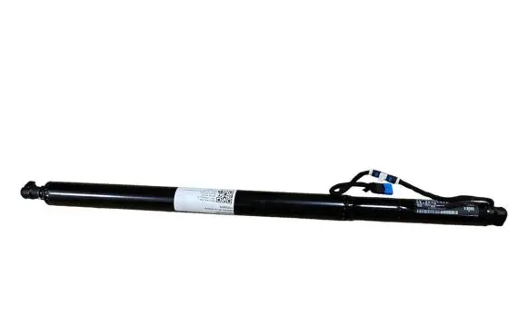 Tailgate/trunk strut/damper