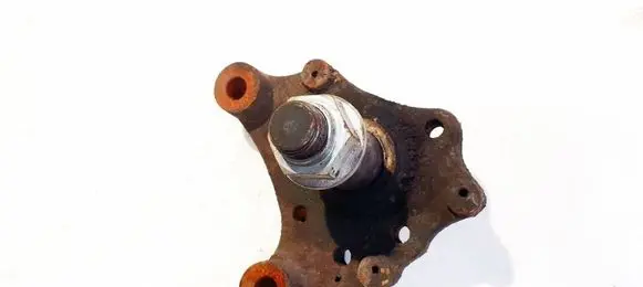 Renault Trafic II (X83) Stub axle 8200050015