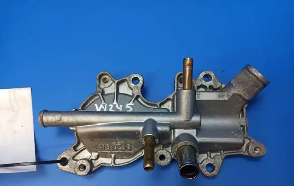 Thermostat/thermostat housing