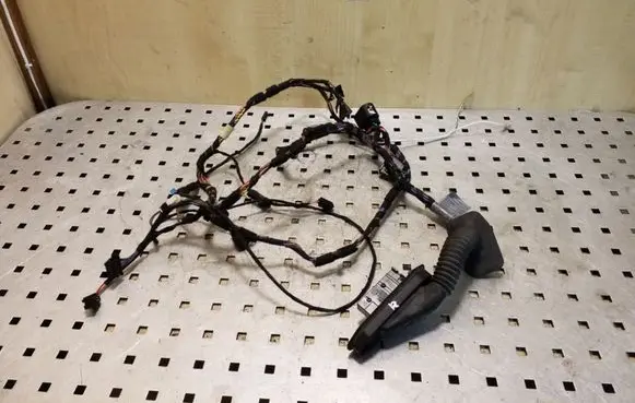 BMW X5 E70 Front door wiring loom 9116974