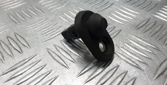 Toyota Land Cruiser (J120) Rear door sensor 