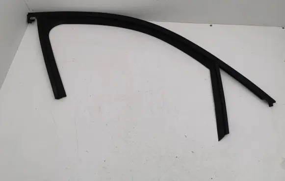 Citroen C4 III e-C4 Rubber seal front door (on door) 