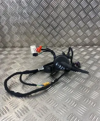 Rear door wiring loom