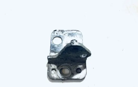 Volkswagen Bora Rear door lower hinge 