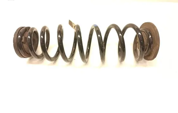 Rear coil spring