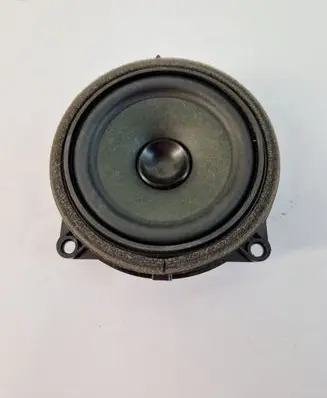 Rear door speaker
