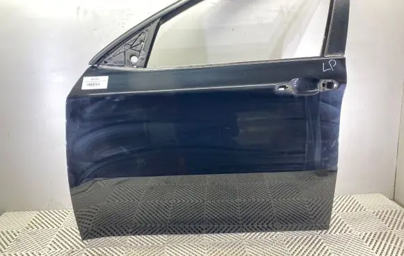 BMW X6 E71 Front door 