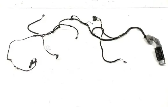 BMW 1 F20 F21 Front door wiring loom 9335300 19344411 ECC003