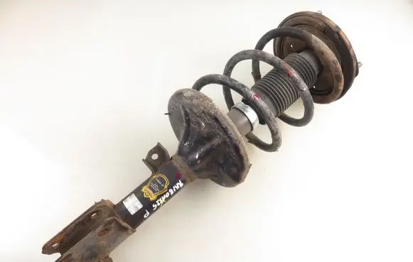 Hyundai Santa Fe Front shock absorber with coil spring 614024JP
