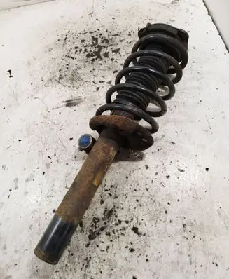 Skoda Yeti (5L) Front shock absorber with coil spring 1K0413031BK