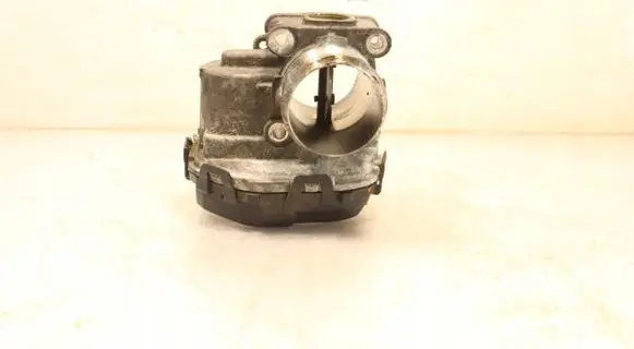 Throttle body valve