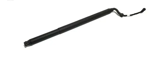 Tailgate/trunk strut/damper