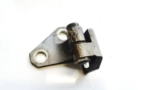 Rear door lower hinge