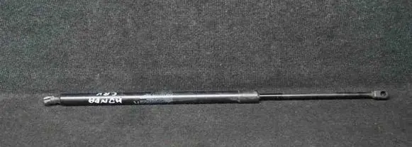 Tailgate/trunk strut/damper