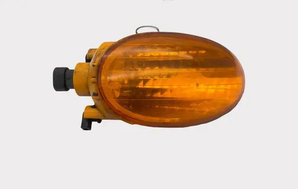 Fiat Multipla Front indicator light 46512541