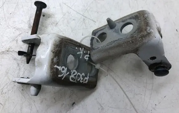 Peugeot 308 Front door hinges set 