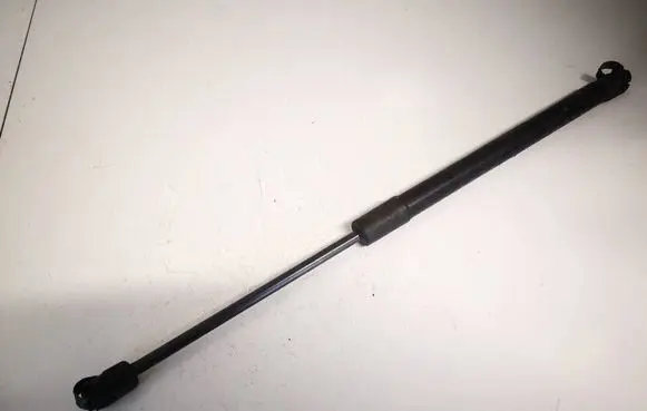 Tailgate/trunk strut/damper