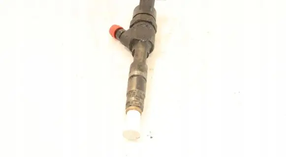 Renault Megane II Fuel injector