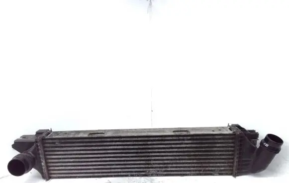 Opel Vivaro Intercooler radiator 93868350 144962019R