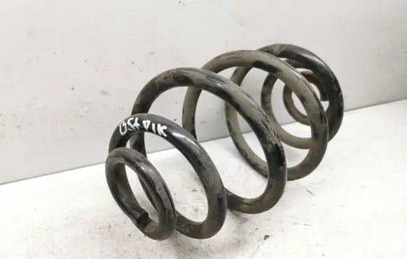Volkswagen PASSAT B5.5 Rear coil spring