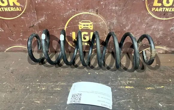 Rear coil spring
