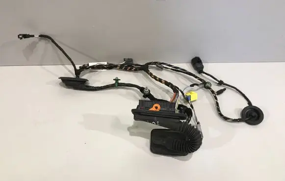 Volkswagen Tiguan Front door wiring loom 5N1971121AB