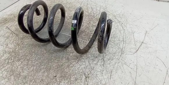 Front coil spring