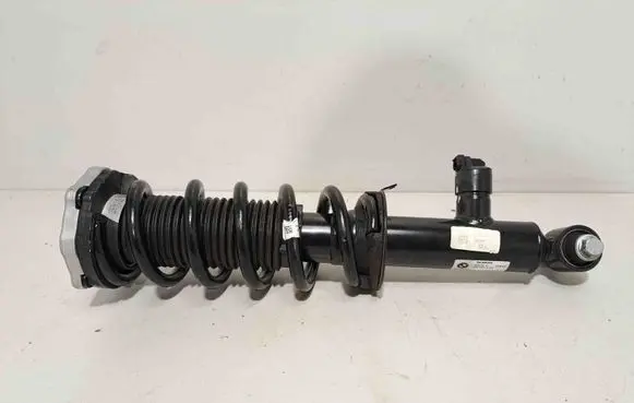 Rear shock absorber/damper