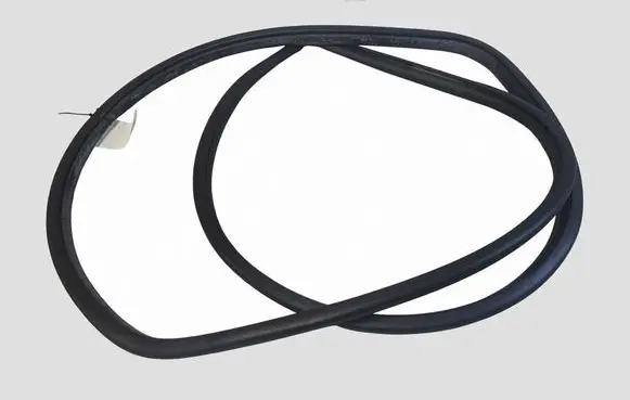 Toyota RAV 4 (XA50) Front door rubber seal