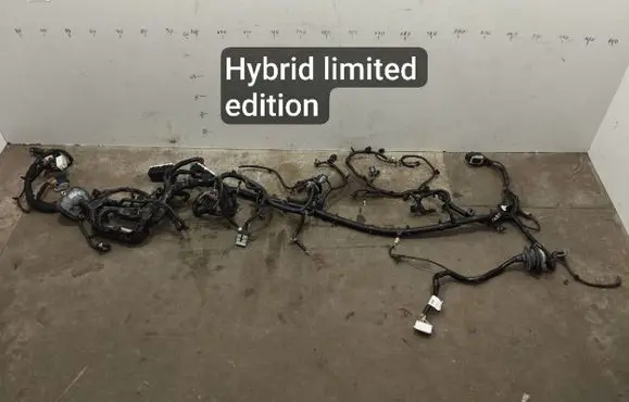 Chrysler Pacifica Other wiring loom 68359965AC