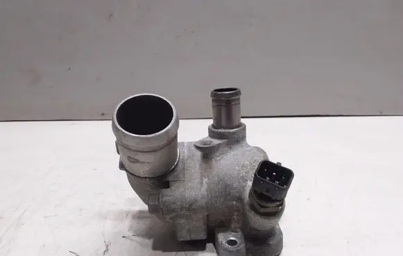 Thermostat/thermostat housing
