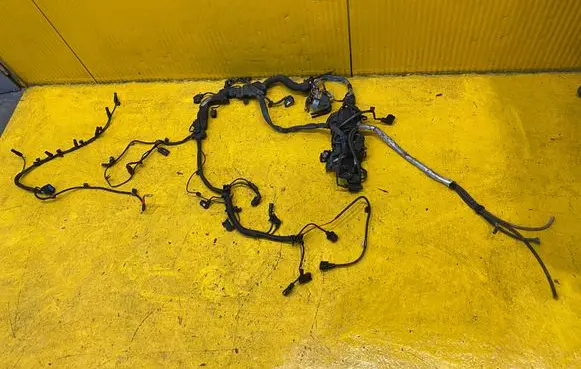 Engine installation wiring loom