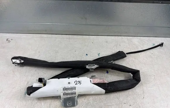 Peugeot 3008 I Roof airbag 9801631380