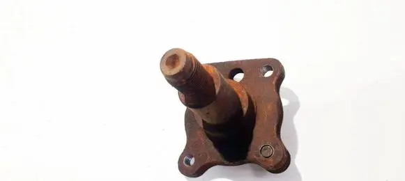 Ford Focus Stub axle 