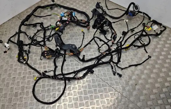 Peugeot 308 Other wiring loom 9807698080 13931598 1D19A8CX