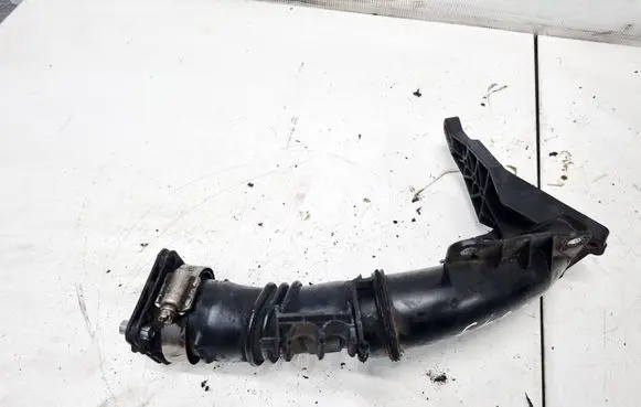 Ford Focus Air intake hose/pipe